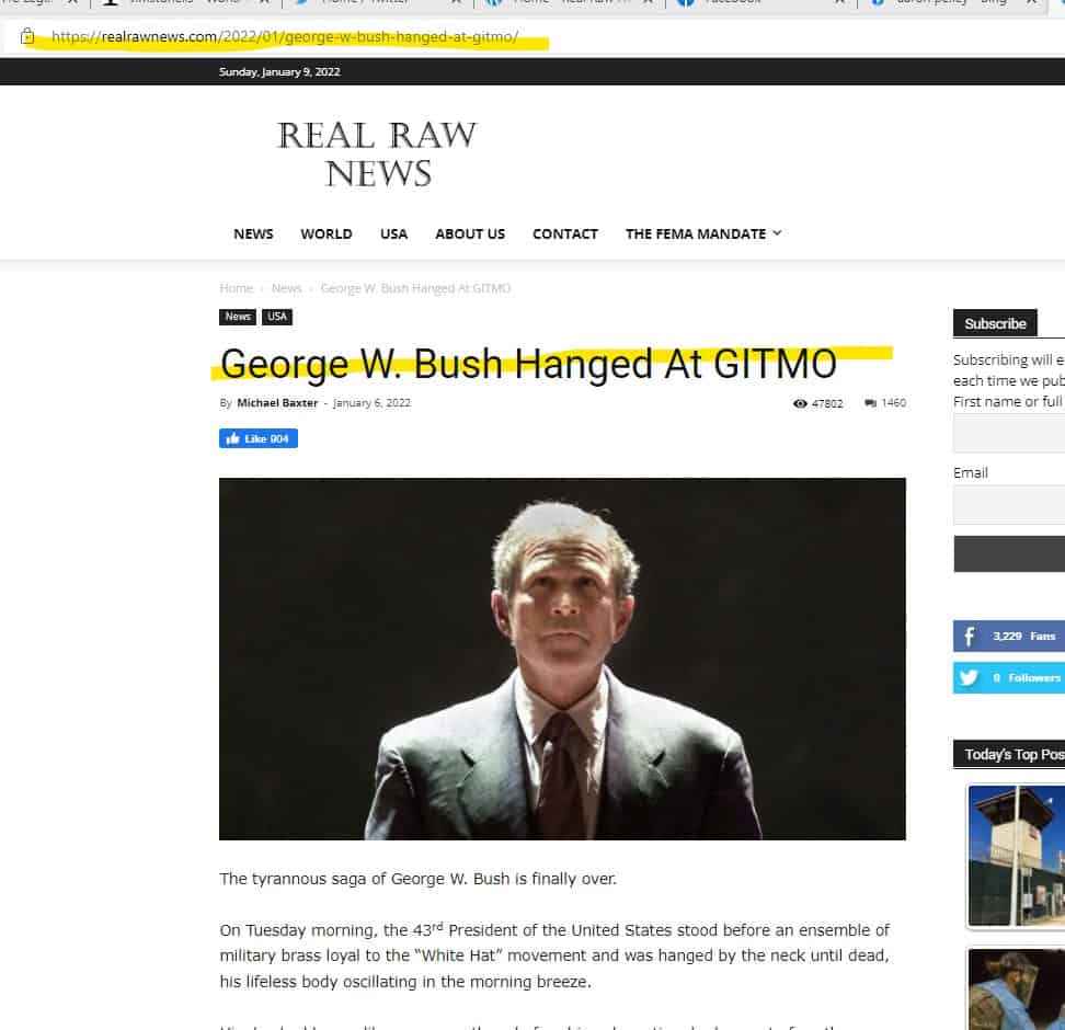 Bush_Hanged_at_Gtimo